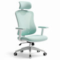 **Ergonomic Mesh Office Chair with Adjustable Headrest and Lumbar Support**